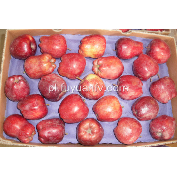 czerwone pyszne jabłko Huaniu na sprzedaż